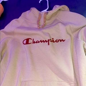 oversized champion hoodie!!